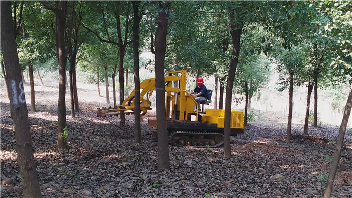 挖树机在苗圃地自由行走